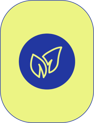 naturalorigin